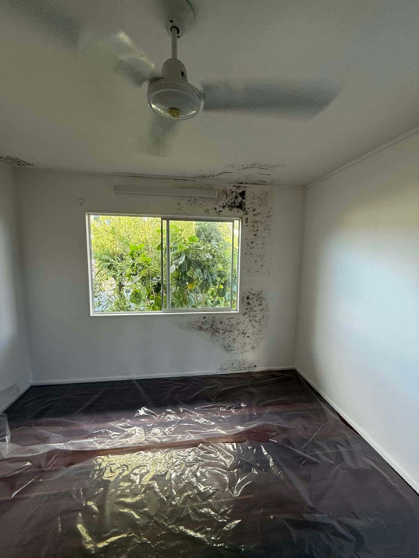Room with mould-damaged ceiling and walls under protective floor sheeting before repair